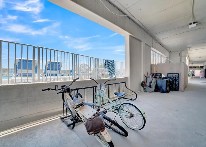 Apartment Sugar 233 By Collection